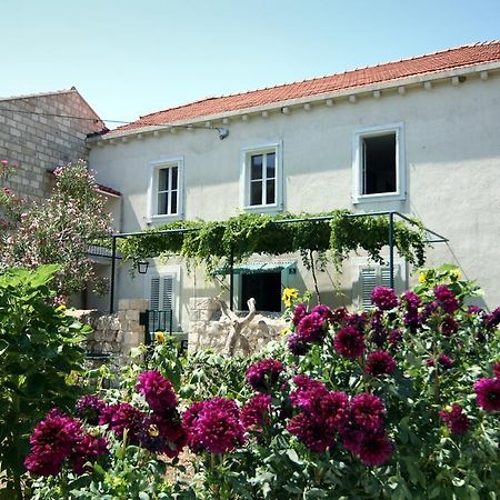 Guest House Katica Затон Экстерьер фото