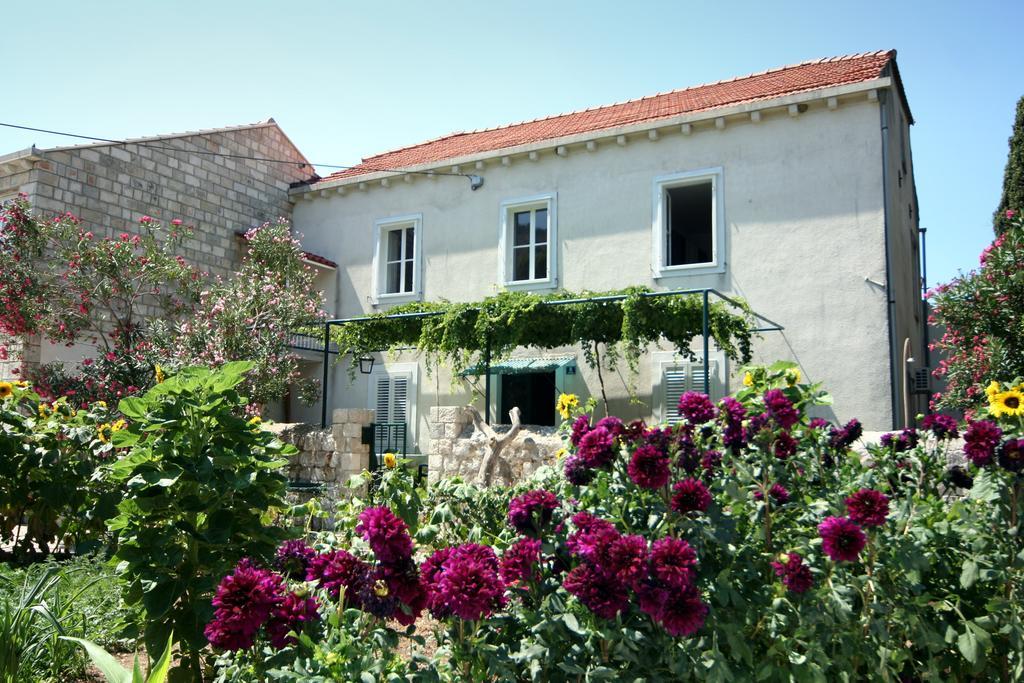 Guest House Katica Затон Экстерьер фото