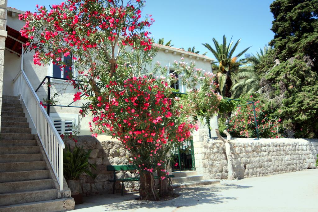 Guest House Katica Затон Экстерьер фото